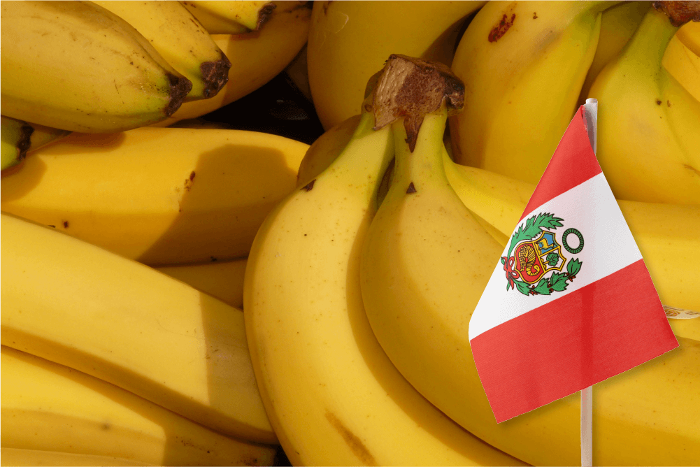 Entre enero y noviembre de 2021 Perú exportó 197 toneladas de banano