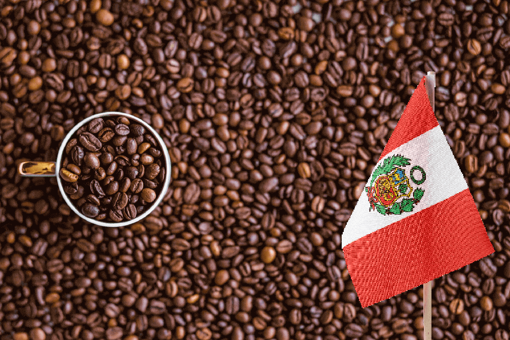 Perú es el primer productor y exportador mundial de café orgánico