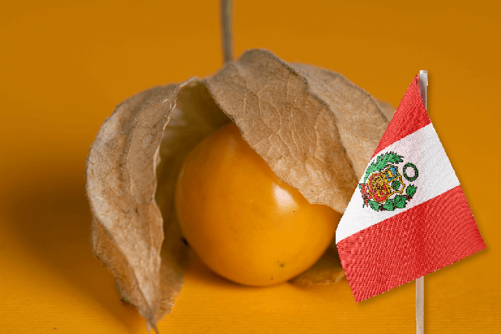 Cúrcuma y aguaymanto peruanos llegarían este año a Estados Unidos