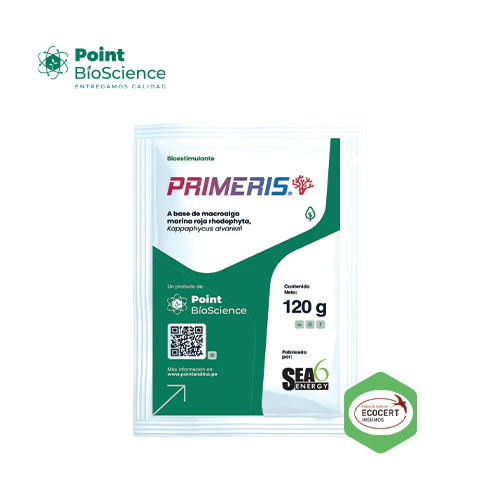 Primeris
